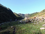 Partiti da Patqueso (Malesco , Val Loana - mt.1076) scendiamo al torrente Loana  per poi entrare in Val Basso : qui nei pressi dell'alpe omonima